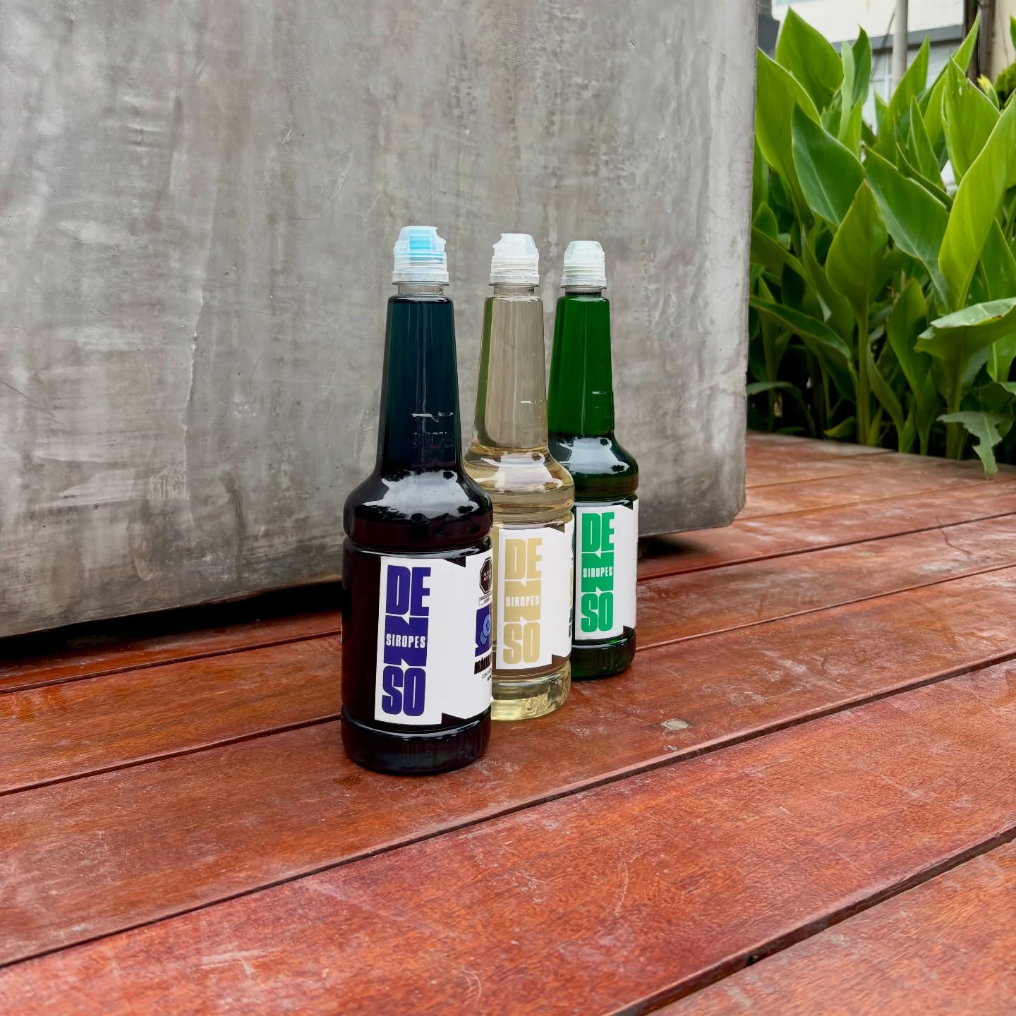 Botellas de Siropes Denso - Menta, Goma y Arándano